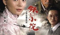 铁梨花电视剧全集,传奇女侠的江湖传奇