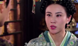 卫子夫电视剧免费观看,传奇皇后的一生，免费观看再现历史辉煌