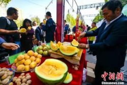 库尔勒吃瓜最新事件爆料