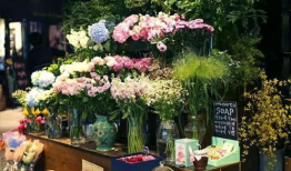 长沙花店吃瓜爆料事件,一场意外的网络热议