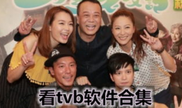 tvb电视剧下载,重温经典，畅享精彩瞬间