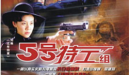 五号特工组电视剧,智勇双全，共赴国难